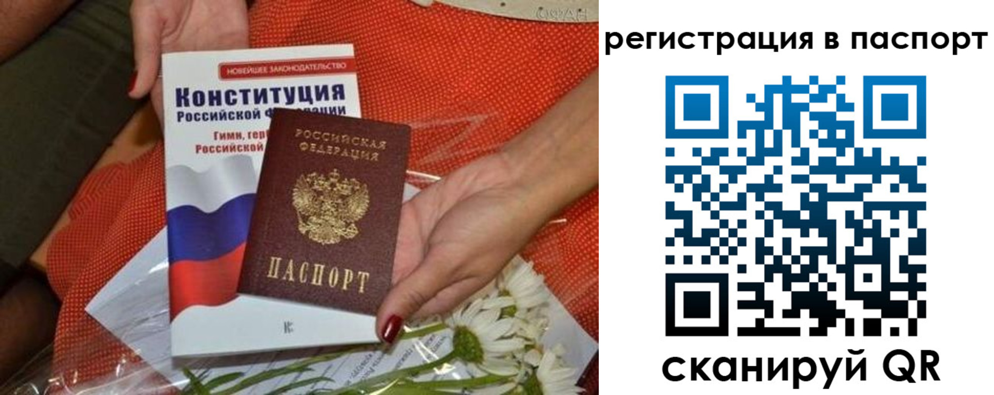 временная регистрация поиск в Долгопрудном
